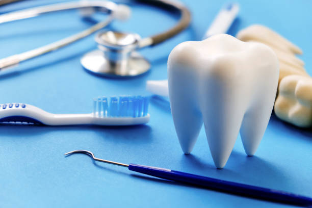 Professional Dental Services in Vienna, IL